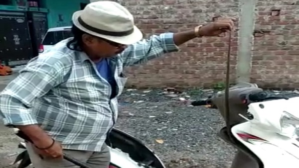 बारिश से बचने स्कूटी-बाइक की सवारी कर रहे नागराज बारिश से बचने स्कूटी-बाइक की सवारी कर रहे नागराज