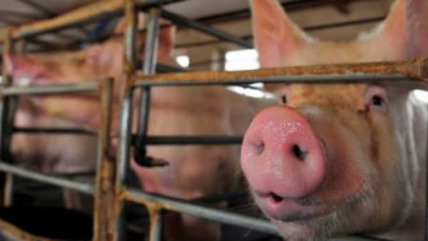 विभाग की लापरवाही आई सामने विभाग की लापरवाही आई सामने