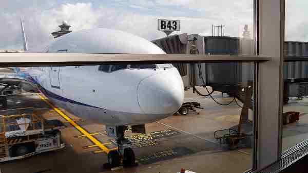 करीब आधे घंटे बाद लैंड कर पाया विमान