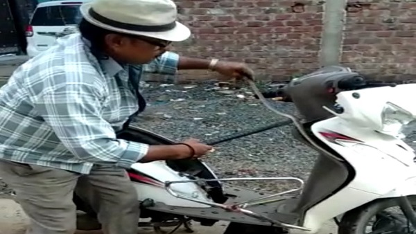 स्कूटी-बाइक की डिग्गी में सांप घुसे, देखकर चालक के होश उड़े स्कूटी-बाइक की डिग्गी में सांप घुसे, देखकर चालक के होश उड़े