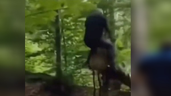 वीडियो को देखने के बाद आपकी हंसी नहीं रूकेगी