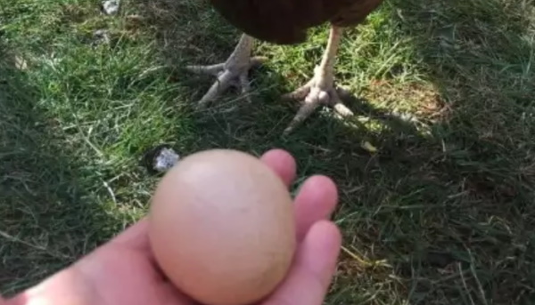 अब तक लग चुकी हैं इतनी कीमत