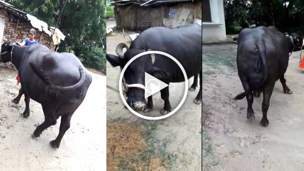 लोगों द्वारा किए जा रहे तरह तरह के कमेंट