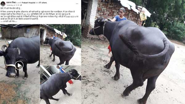 प्रतियोगी परीक्षाओं की तैयारी करते हैं प्रशांत