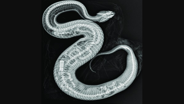 वायरल हो गई ये पोस्ट 