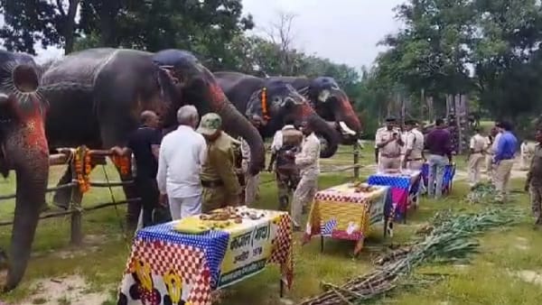 इन हाथियों को महारत हासिल 