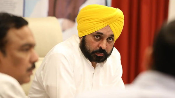 Punjab: Maan governments big decision On basmati rice, 10 pesticides banned