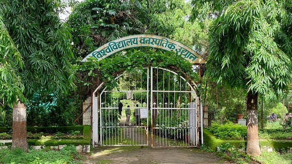 ‘‘कृष्नाई वटवृक्ष‘‘ देश में सागर, नंदगांव वृंदावन, कोलकाता, झारखंड में मौजूद