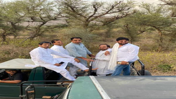 bsp mla