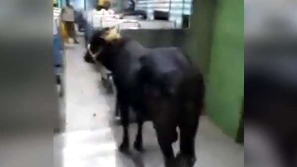 ईएमयू पैसेंजर ट्रेन का नजारा