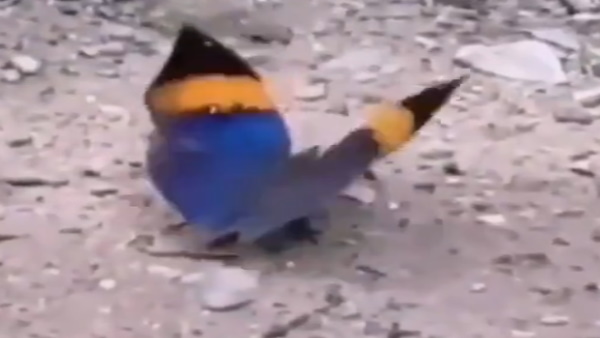 शेयर करने वाले ने लिखी ये पोस्‍ट 