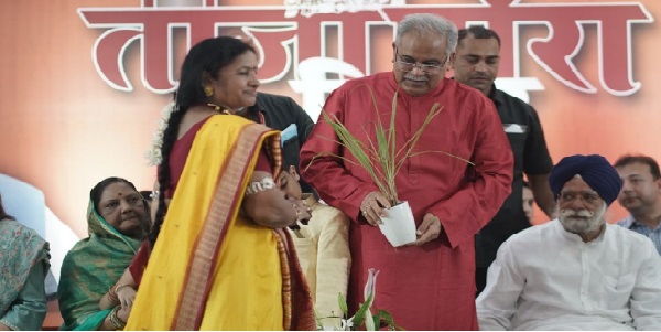 सीएम भूपेश ने सरपरिवार की नंदी महाराज की पूजा अर्चना 