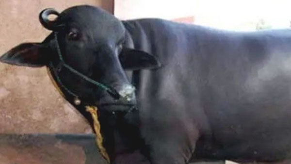 मोटरसाइकिल से ही लेकर पहुंचे सीएचसी