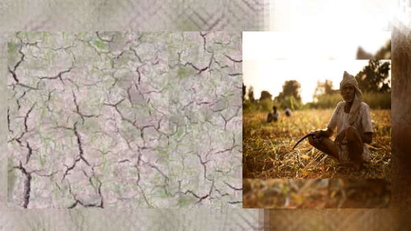 28 तहसीलों में राहत कार्य शुरू 