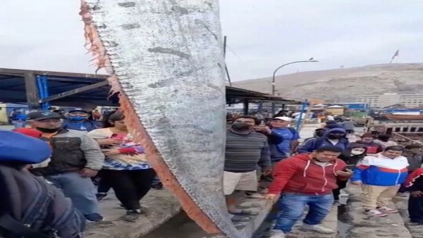 क्यों कहा जाता है श्रापित? क्यों कहा जाता है श्रापित?