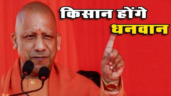 योगी सरकार की इस योजना का उठाएं लाभ,क्लस्टर खेती के यह हैं फायदे 