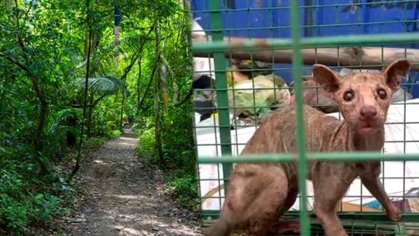 जीव पर किया जा रहा रिसर्च