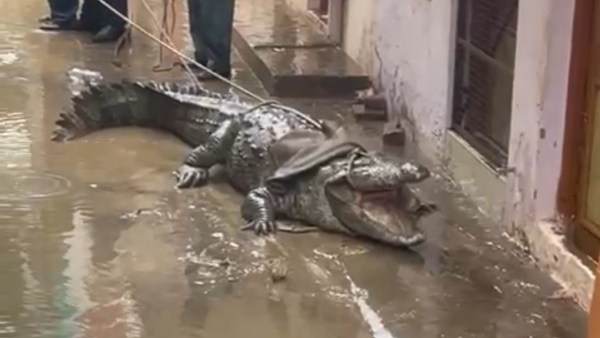 शिवपुरी में हो रही है लगातार बारिश