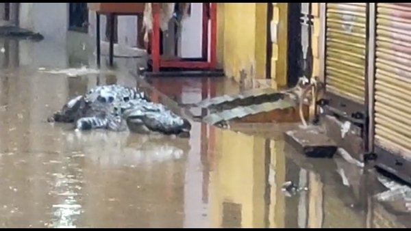 डर के मारे लोग चढ़ गए लोग छतों पर