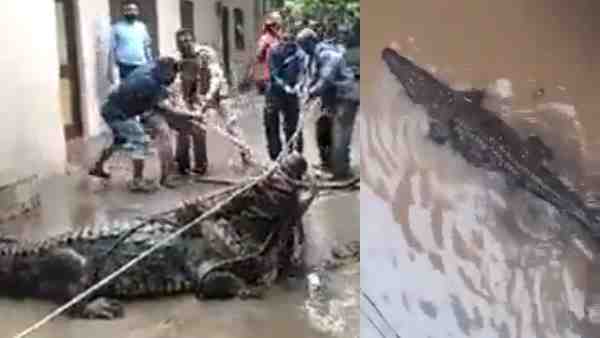 निचले इलाकों में बढ़ा खतरा निचले इलाकों में बढ़ा खतरा