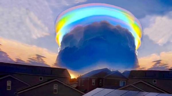 कुदरत के कई रंग हैं...