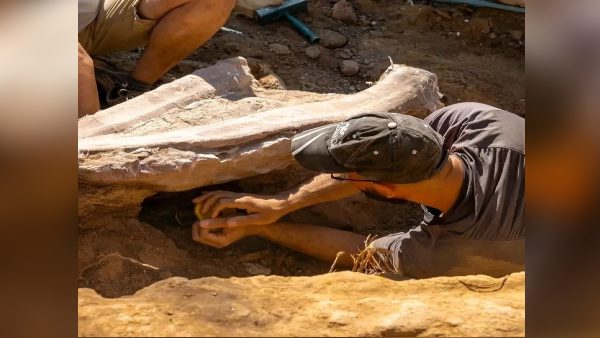 अब इस चीज का पता लगाने में जुटे वैज्ञानिक