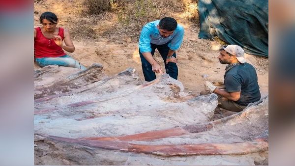 लगभग 150 मिलियन वर्ष पुराना