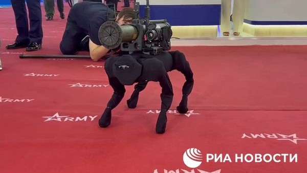 हथियार प्रदर्शनी में दिखा हथियार प्रदर्शनी में दिखा