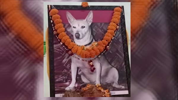 फोटो पर चढ़ाई गई माला , विनि के जाने से दुखी बहन ने कही यह बात 