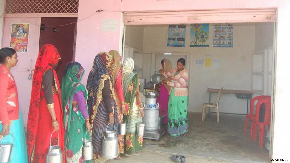 पर रोज एक ला ख लीटर दूध जमा होता है पर रोज एक ला ख लीटर दूध जमा होता है