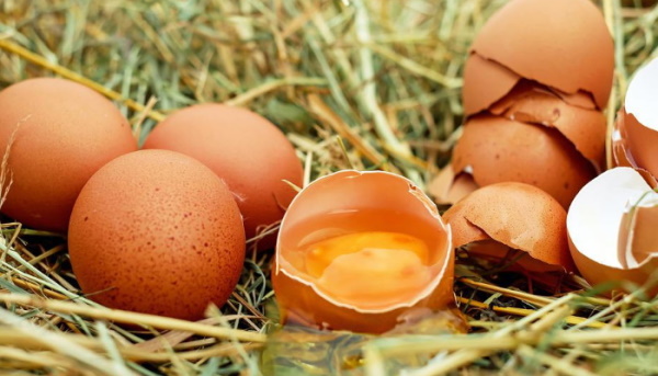 जानें क्यों दुर्लभ है ये अंडा