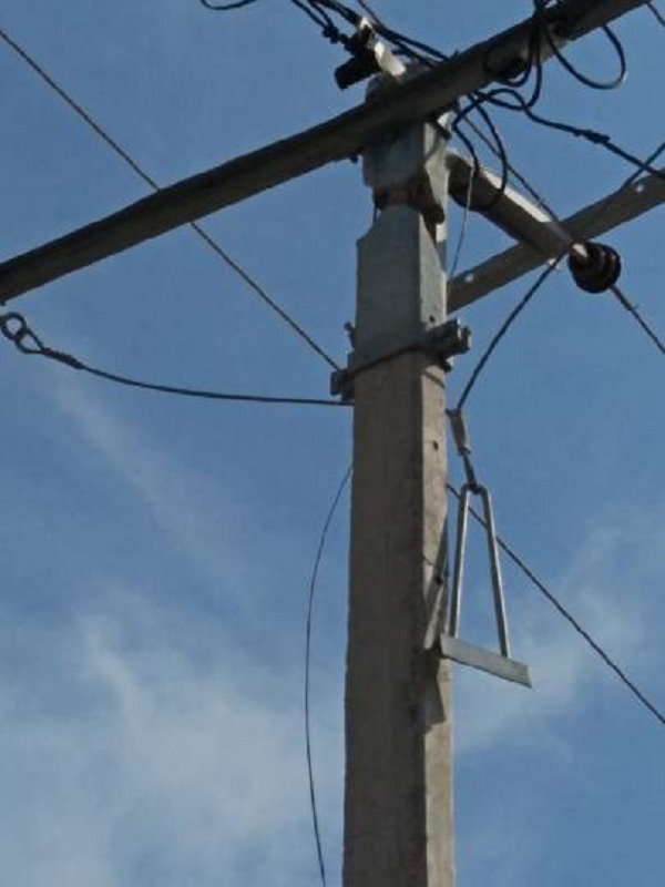 the Electricity Amendment Bill led to protests in Punjab, protesters said- it should not be passed the Electricity Amendment Bill led to protests in Punjab, protesters said- it should not be passed