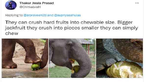 'अविश्वसनीय! लेकिन सफल'