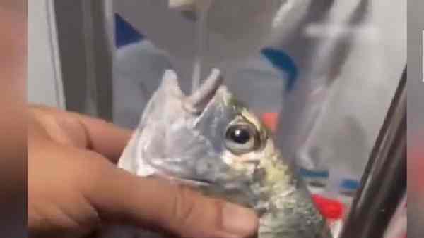 चीन की सोशल मीडिया पर वायरल हैं ऐसे वीडियो