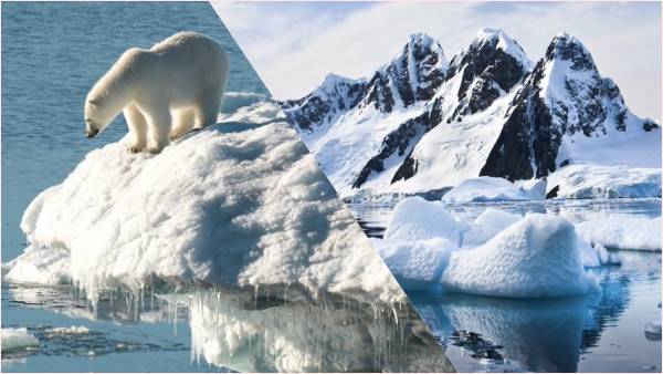 प्रकृति को बचाना आपके हाथ में है...कब शुरूआत करेंगे?