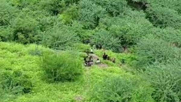 शिंदे की छावनी की रहने वाली है युवती