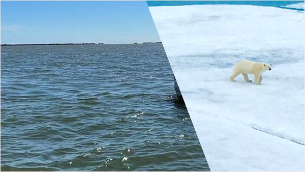 तेजी से गर्म हो रहा आर्कटिक