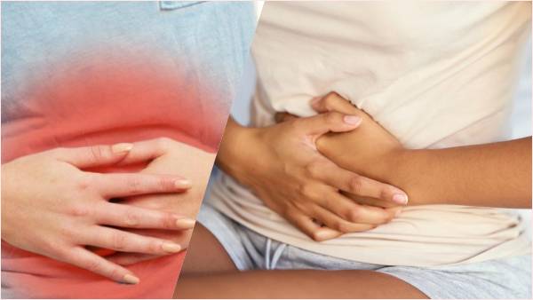 आंत की बीमारी को लेकर काफी समय से चल रहा है शोध आंत की बीमारी को लेकर काफी समय से चल रहा है शोध