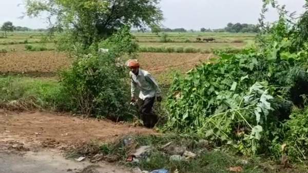 हाईकोर्ट ने विस्तृत जांच करने के दिए थे आदेश
