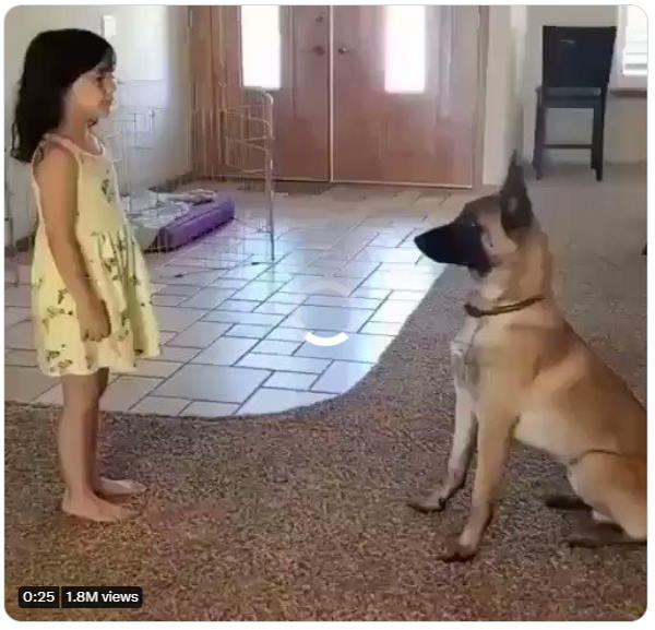 इंसानों की तरह कुत्ते ने आंखें बंद कीं इंसानों की तरह कुत्ते ने आंखें बंद कीं