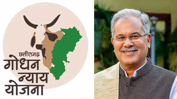 गोधन न्याय योजना के तहत वर्मी कम्पोस्ट का निर्माण