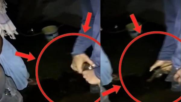 तमंचे के बल पर पीड़िता को दे रहा धमकी तमंचे के बल पर पीड़िता को दे रहा धमकी