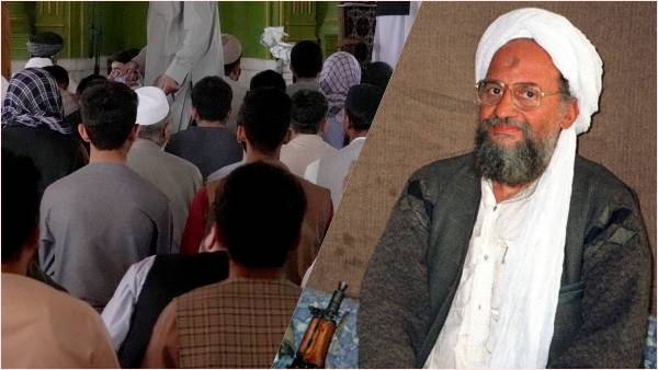 मुझे नहीं पता कैसे मरा अल-जवाहिरी