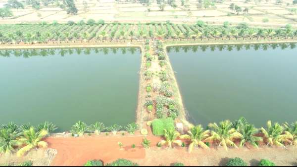 वाटर रिचार्जिंग तालाब देखकर की तारीफ वाटर रिचार्जिंग तालाब देखकर की तारीफ