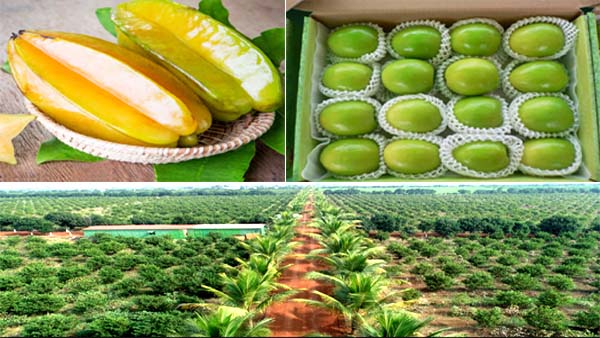 समिति के सभी सांसद हुए प्रभावित समिति के सभी सांसद हुए प्रभावित