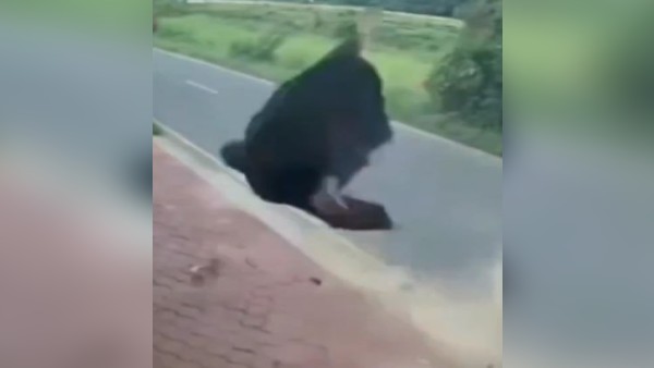 सहमा देगा हादसे का Video 