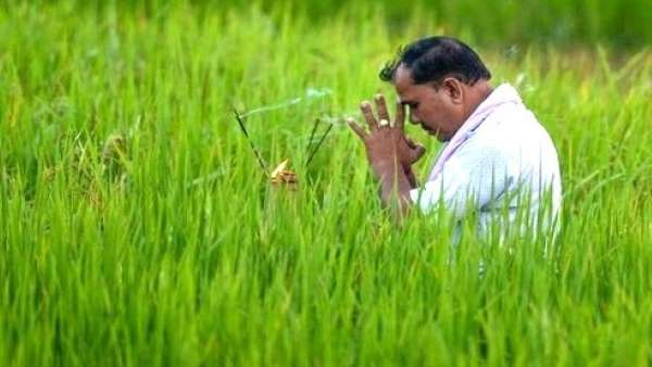 फिर खेतों में की जाती है पूजा फिर खेतों में की जाती है पूजा