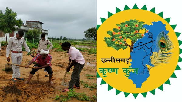वृक्षारोपण अभियान को गति देगा कृष्ण कुंज वृक्षारोपण अभियान को गति देगा कृष्ण कुंज