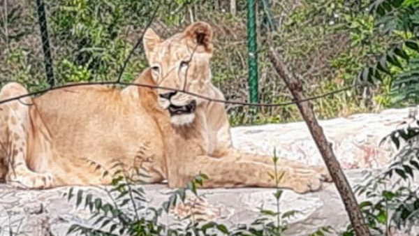घटना की तह तक जाने में जुटी पुलिस