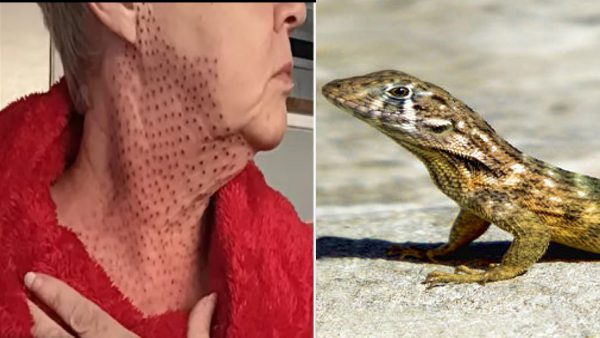 नई मुसीबत गले पड़ी नई मुसीबत गले पड़ी